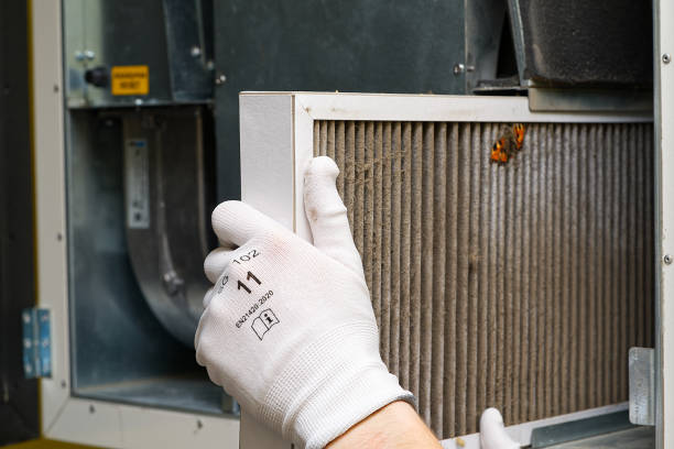 Best Affordable Duct Cleaning Services  in Blanco, TX