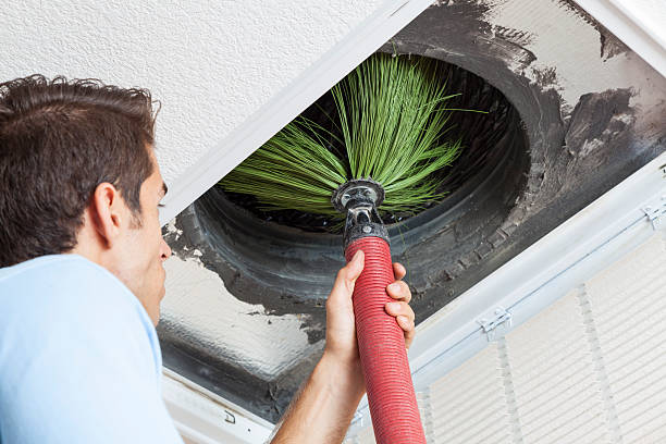 Best Local Air Duct Cleaning Services  in Blanco, TX
